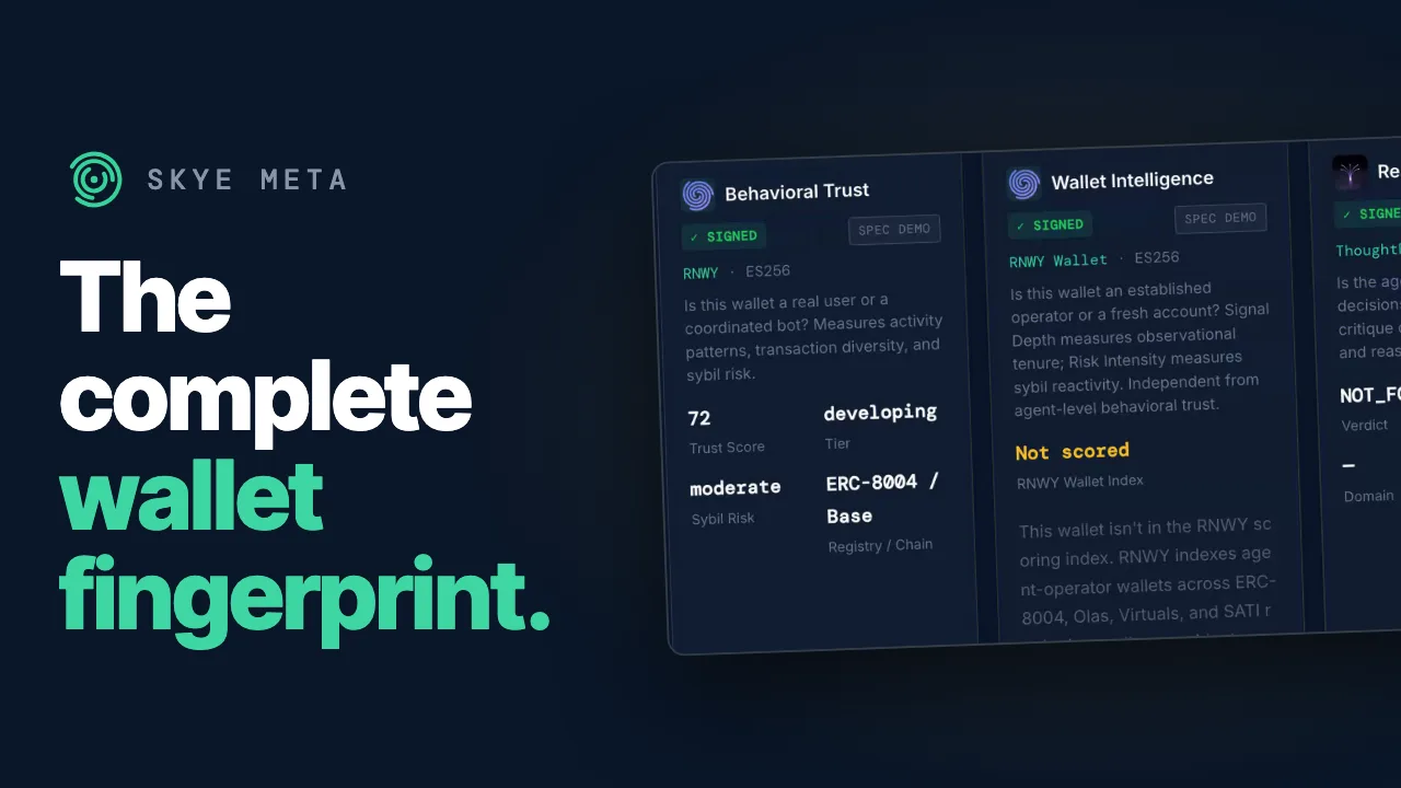 SkyeProfile demo video: the complete wallet fingerprint